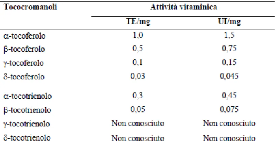 Tabella  1.2.  Attività  vitaminica  E  di  tocoferoli  e  tocotrienoli  espressa  in  Tocoferolo  Equivalente  (T.E.) (Eldin &amp; Appelquist, 1996; Sheppard et al., 1993) 