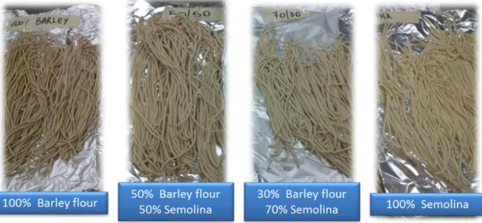 Figure 2.1 Developed pasta products