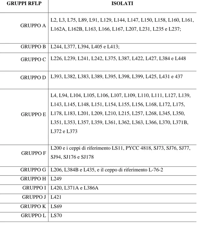 Tabella  1.  Raggruppamento  di  isolati  di  lieviti  rosa  in  base  ai  profili  RFLP  (pattern  ottenuti dalla digestione con enzima di restrizione Hinf I delle regioni ITS amplificate)