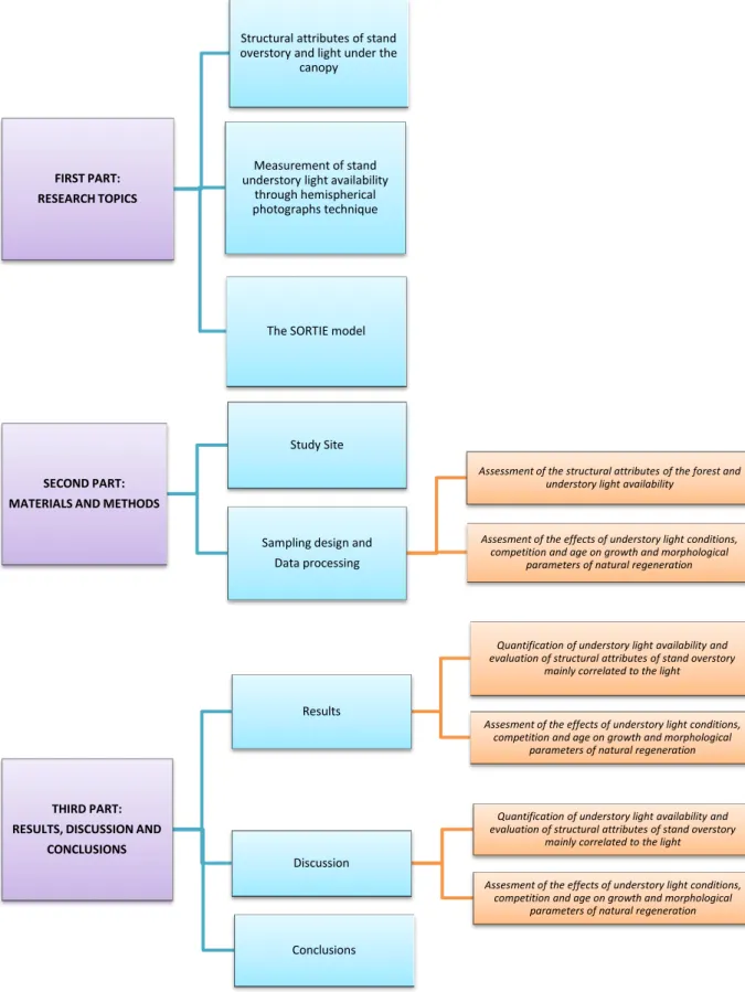 Fig 1: diagram showing the structure of thesisFIRST PART: 