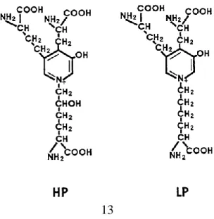 Figure  2.3.  Pyridinium  crosslinks.  Hydroxylysylpyridinoline  (HP)  and  its  dehydroxy analog lysylpyridinoline (LP) (adopted from McCormick, 1999) 