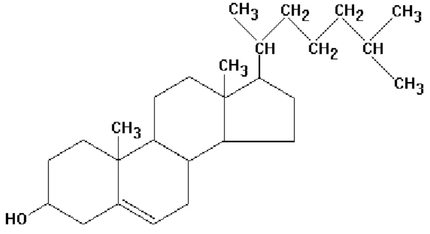 Figure 2.4. The chemical structure of cholesterol. 