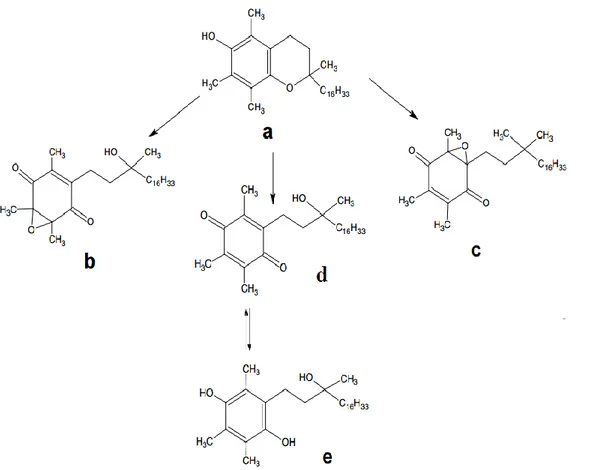 Figure 4.2. α-tocopherol and its principle oxidation products: (a) α-tocopherol; (b) 5,6- 5,6-epoxy-α-tocopherylquinone;  (c)  2,3-epoxy-α-tocopherylquinone  and  (d)   α-tocopherylquinone (adopted from Wu and Croft, 2007)