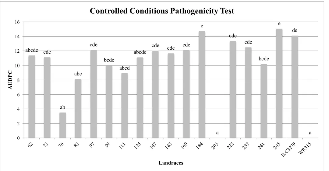Fig. 7 -  Average Area Under the Disease Progress Curve (AUDPC) obtained from the pathogenicity tests conducted in controlled conditions on  chickpea landraces artificially inoculated with F