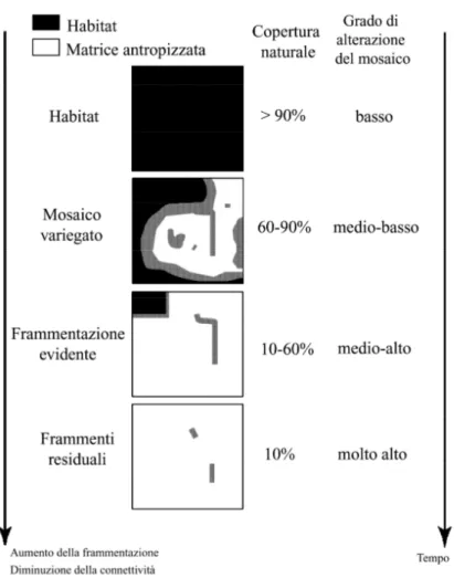 Figura 1 Modello concettuale del processo di frammentazione e livelli di alterazione prodotti (da Fischer &amp;  Lindenmayer, 2007 modificato)