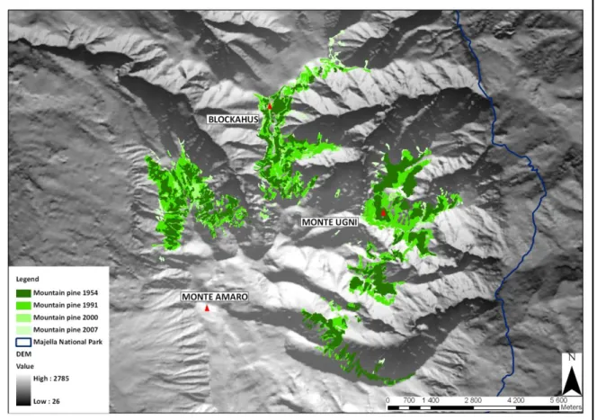 Fig. 2.2 Multitemporal maps of the mountain pine geographical distribution on the basis of the digital 