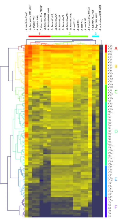 Figure  3.1A.  Heat  map,  using  Hierarchical  clustering  and  Euclidean  distance  (Software  Genesis),  obtained  by  the  analysis  of  results  from  the  agar  well  diffusion  assay  conducted  on  110  Lb