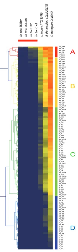 Figure  3.1B.  Heat  map,  using  Hierarchical  clustering  and  Euclidean  distance  (Software  Genesis),  obtained  by  the  analysis  of  results  from  the  agar  well  diffusion  assay  conducted  on  110  Lb