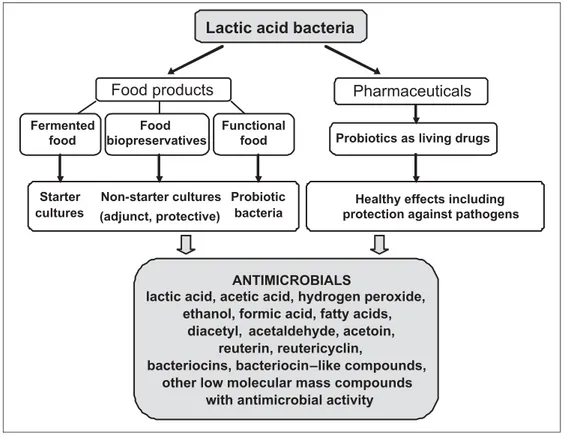 Figure 1.2 Industrial potential of antimicrobials from lactic acid bacteria 