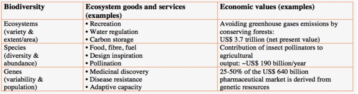 Tabella 1.   Relationships  between biodiversity,  ecosystems  goods  and  services  and  economic  values.