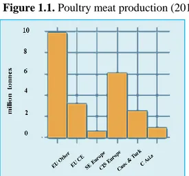 Figure 1.1. Poultry meat production (2010) 