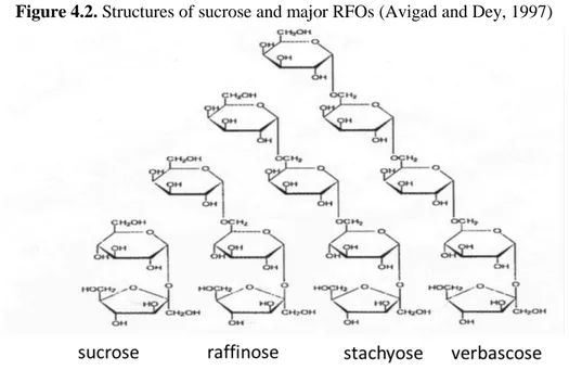 Figure 4.2. Structures of sucrose and major RFOs (Avigad and Dey, 1997) 
