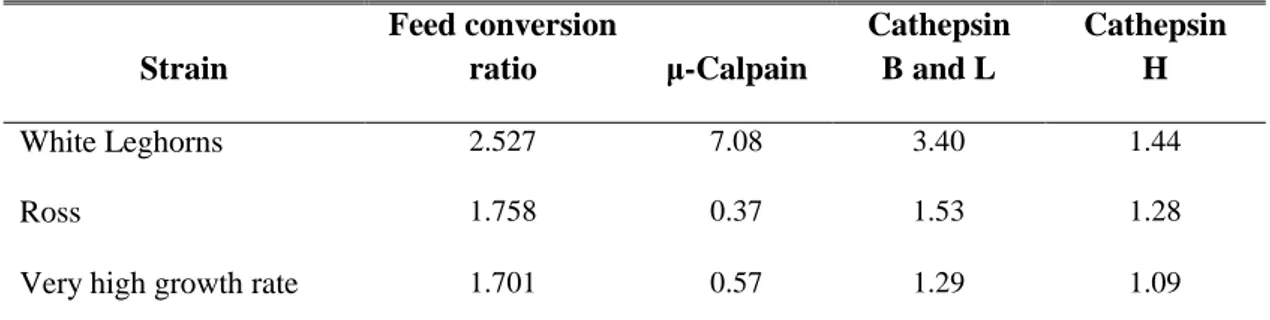 Table 7.1. Proteolytic capacities in relation to growth rate 1 Strain  Feed conversion ratio  μ-Calpain  Cathepsin B and L  Cathepsin H  White Leghorns  2.527  7.08  3.40  1.44  Ross  1.758  0.37  1.53  1.28 