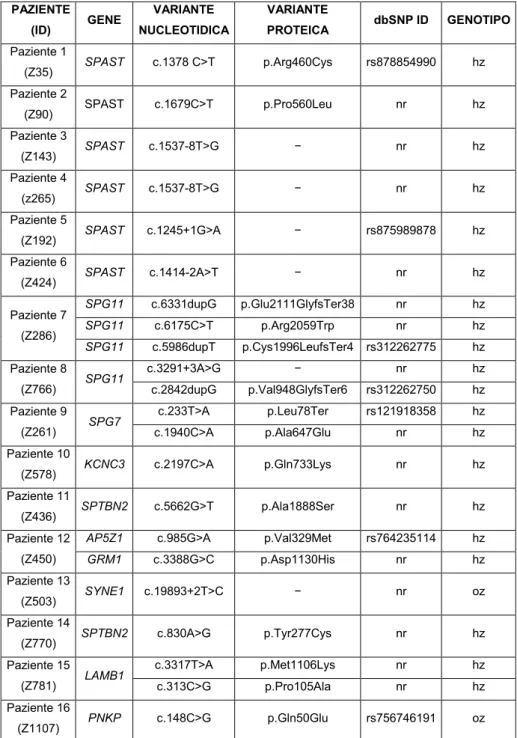 Tabella 4: In tabella sono riportati il paziente in cui è stata identificata una variante  potenzialmente patologica, il gene in cui è stata identificata, la variante  nucleotidica in funzione della regione codificante, la variante proteica, l’eventuale  I