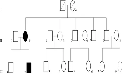 Figura 7: Albero genealogico: (III:2) probando (Z192), (II:2) madre (Z191) con  diagnosi clinica di paraparesi spastica