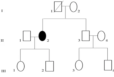 Figura 8: Albero genealogico: (II:2) probanda. 