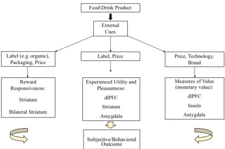 Figure 6.2: The image shows how external product cues inflence cognitive processes and brain region involved.