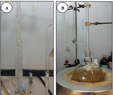 Figure 3.3. EO extracted in condenser (A); Essential oil extraction by Clevenger- type apparatus (B)