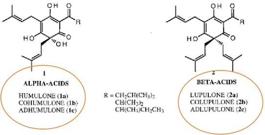 Figure 3.12. The main components of alpha and beta acids respectively. 