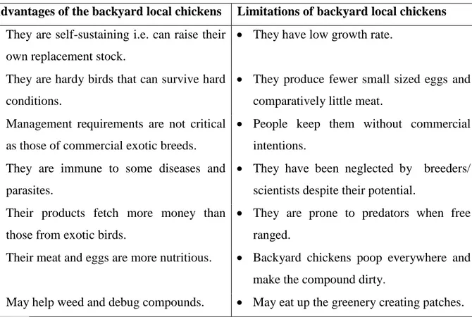 Table 1. 2  Advantages and limitations of backyard rearing and the local chicken breeds 