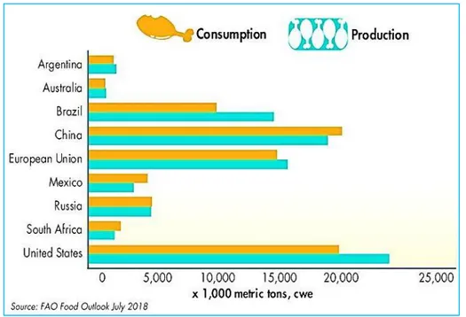 Figure 1. 3  Poultry meat production and consumption in selected countries