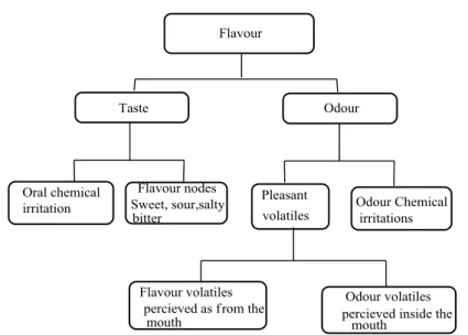 Figure 2. 4  Flavour perceptions 