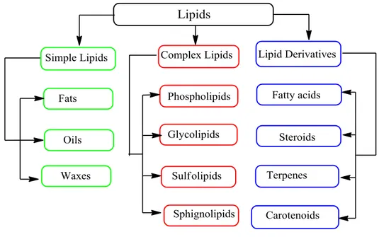 Figure 2. 7  Classification of lipids 