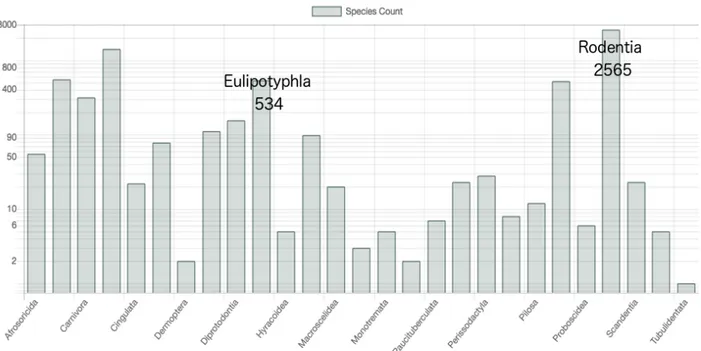 Figure 1. Histogram showing the global richness of Rodentia and Eulipotyphla in the Mammalia 