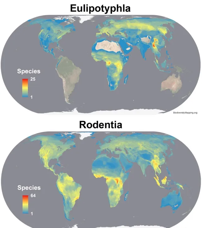Figure 2. World maps of diversity include the total species richness for Eulipotyphla and Rodentia 