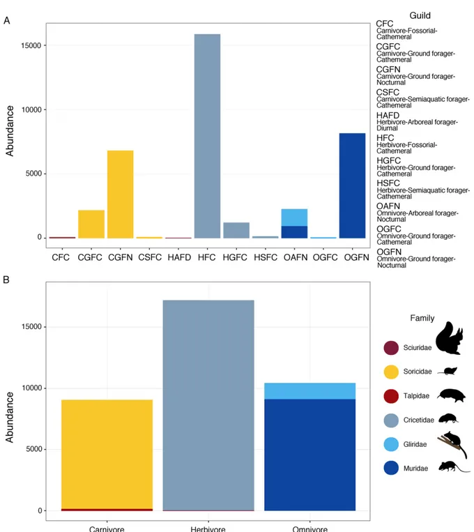 Figure 4. Number of individuals per guild (A) and trophic level (B). Abundance refers the 