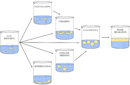 Figure 2.5: Different mechanisms of emulsion destabilization, depending on the particle size and