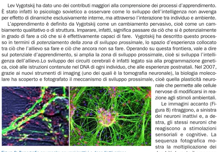 Figura 8: Tomografia neuronale: neuroni inattivi e dopo l’attivazione