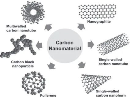 Figure 1.3 Various carbon-based nanomaterials (©Yuan et al., 2019) 