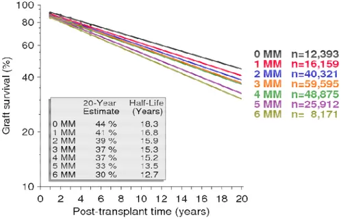 Figure 1.8 – Kidney graft survival by total HLA mismatches (A plus B plus DR) between donor 