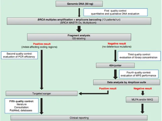 Figure 3.7: Integrated NGS workflow used for validation of Amplicon Suite (image from [16]).