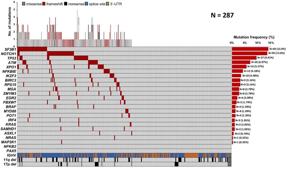 Figure 1. Mutational profile of the FCR-treated cohort. 