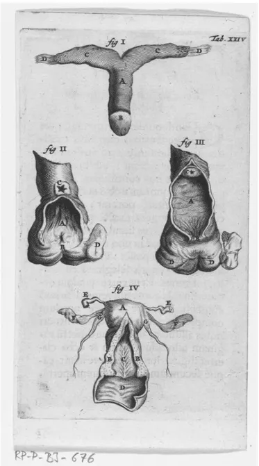 Figure 6.2  Anatomical analysis of the clitoris, vagina, and uterus. Book illustra- illustra-tion for Reinier de Graaf, De mulierum organis generaillustra-tioni inservientibus tractatus 