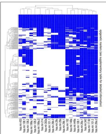 FIGURE 3 | Summary of the results of the bionformatic analysis. The