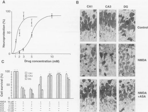Fig. 1. Neuroprotection by salicylates. (A) Concentration-dependent effect elicited by ASA and NaSal in rat cerebellar granule cells