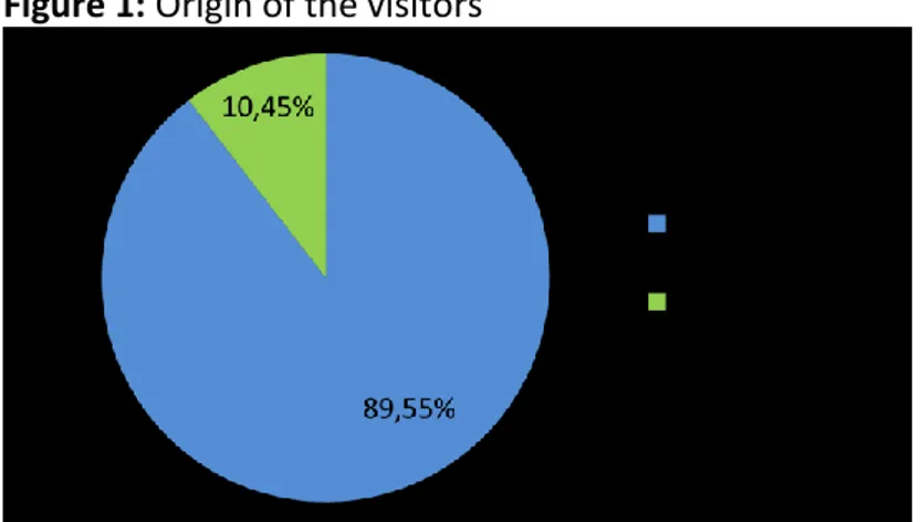Figure 1: Origin of the visitors 