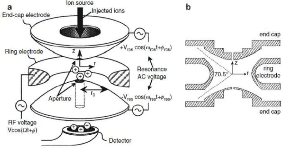 Figure 4. QIT scheme (a) and its r and y section (b) 25