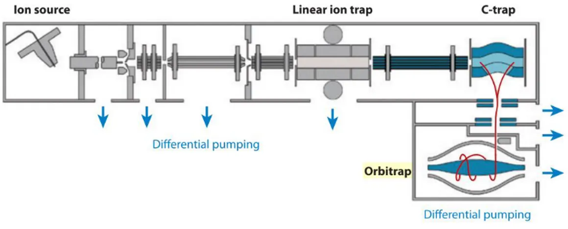 Figure 6. Orbitrap design scheme 29