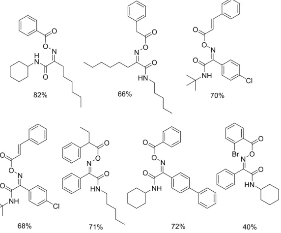 Figure 1.  Selected examples of syn-oximinoamides synthesized. 