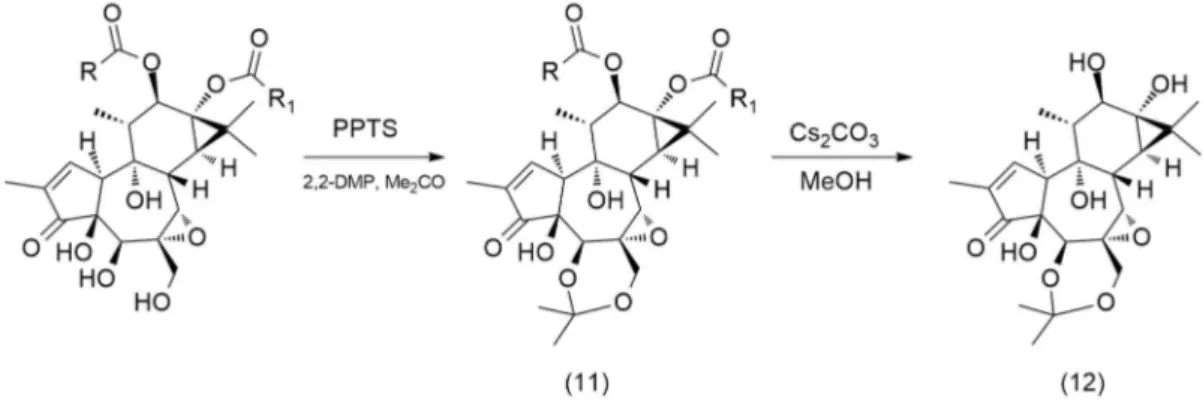 Fig. 1.9 Preparation of 5β-hydroxy-6,7α-epoxy-5,20-acetonide phorbol from  F.picrosperma oil 