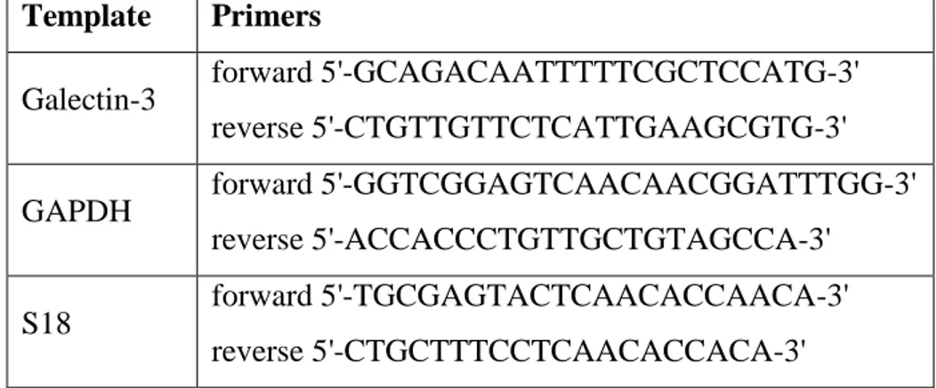 Table I.  Oligonucleotide primers used for PCR and real-time PCR