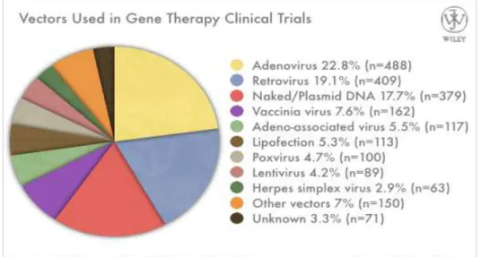 Figure 4. Diagram representing the vectors used in gene therapy 