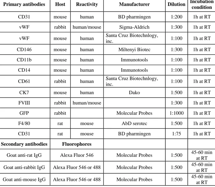 Table 3: Antibodies used for immunofluorescence 