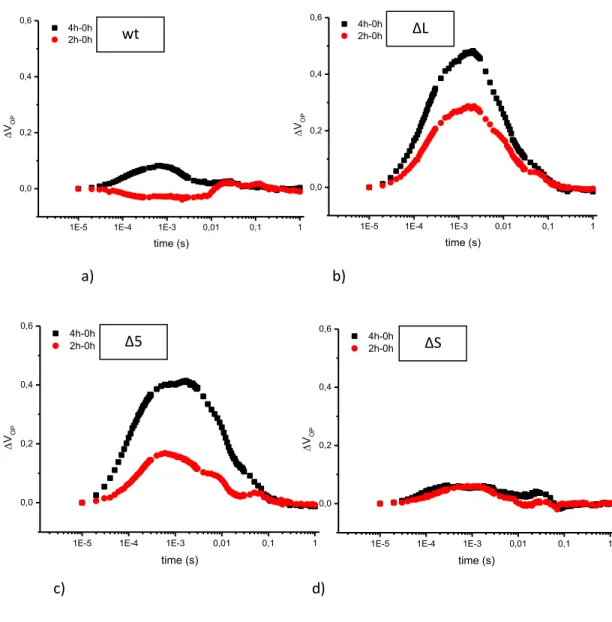 Fig. 18 a, b. c, d: relative difference   V OP  among light treated and dark adapted plants in wt,  ΔL, Δ5 and ΔS 