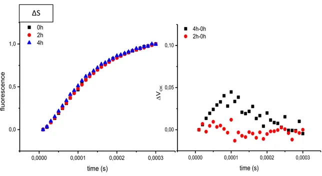 Fig. 19d: Fluorescence transient of ΔS mutant normalized between 0 and 0.3 ms 