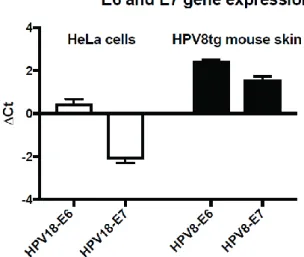 Figure 13: Phenotypic and histological characterization of HPV8tg mice. 